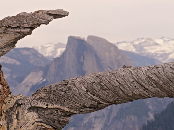 Half Dome是優勝美地的著名地標，也是許多健行客和攀岩者的必登之處