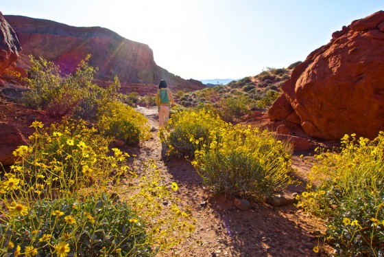 valley of fire state park